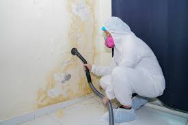 Best Attic Mold Removal  in Gunter, TX